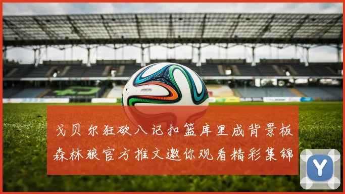戈贝尔狂砍八记扣篮库里成背景板森林狼官方推文邀你观看精彩集锦