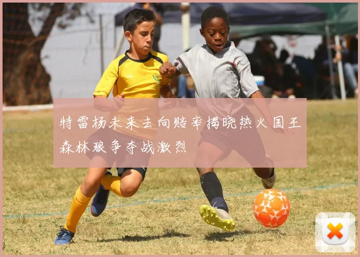 特雷杨未来去向赔率揭晓热火国王森林狼争夺战激烈