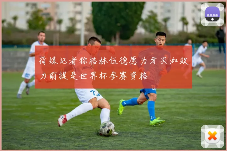 荷媒记者称格林伍德愿为牙买加效力前提是世界杯参赛资格